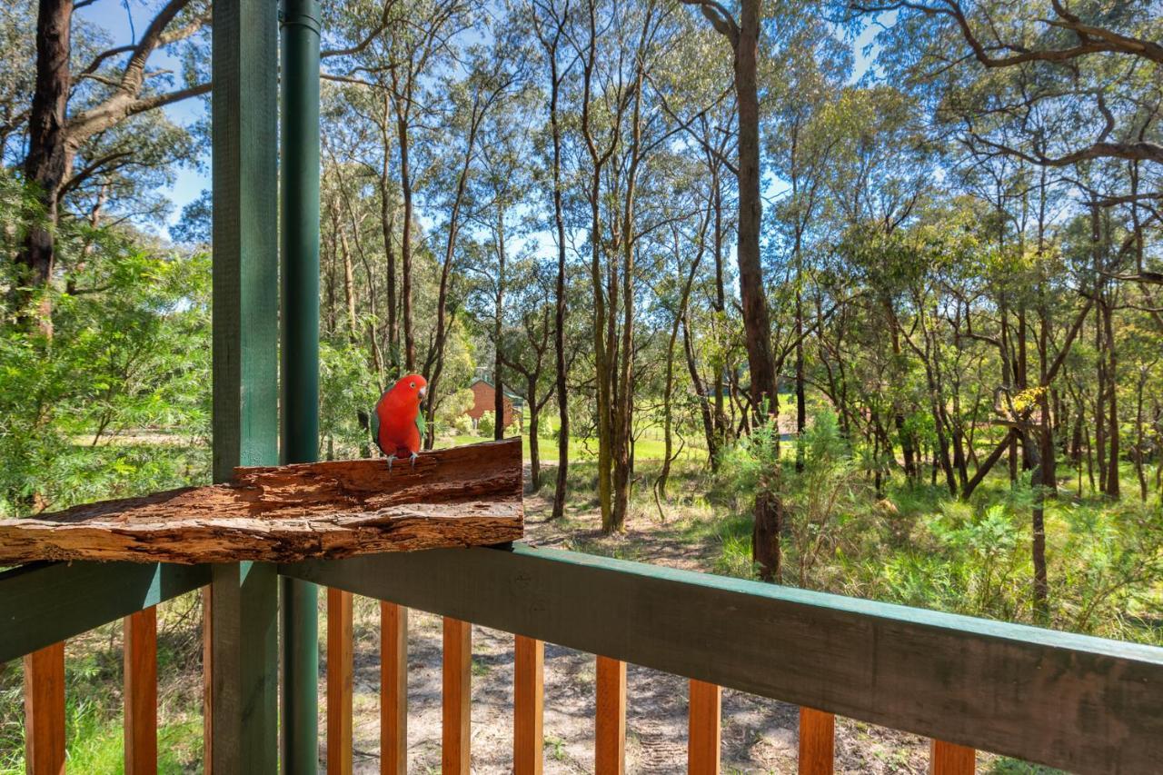 Cockatoo Cottages Eksteriør bilde